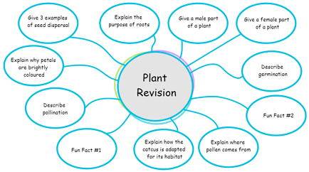 Mindmap Graphical Organiser